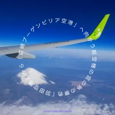 2019年3月、「宮崎ブーゲンビリア空港」行き「ソラシドエア航空機」に搭乗しました